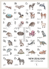 NZ Native ABC Poster | Downloadable A3