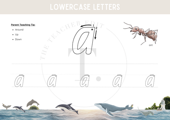 Lowercase Letters Handwriting Set | MINI KIT